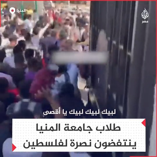 طلاب جامعة المنيا يتظاهرون تضامنًا مع غزة ودعمًا للقضية الفلسطينية جراء القصف الإسرائيلي العنيف على القطاع