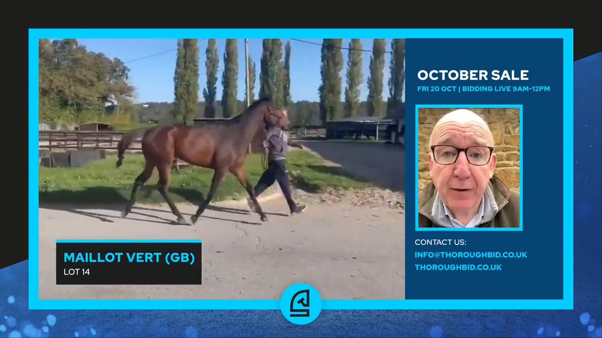 Some smart Horses-in-Training in the catalogue ๐ Cornelius Lysaght talks us through a few of his personal favourites โคต๏ธ #๐๐๐ญ๐จ๐๐๐ซ๐๐๐ฅ๐๐ | ๐
๐ซ๐ข ๐๐ ๐๐๐ญ