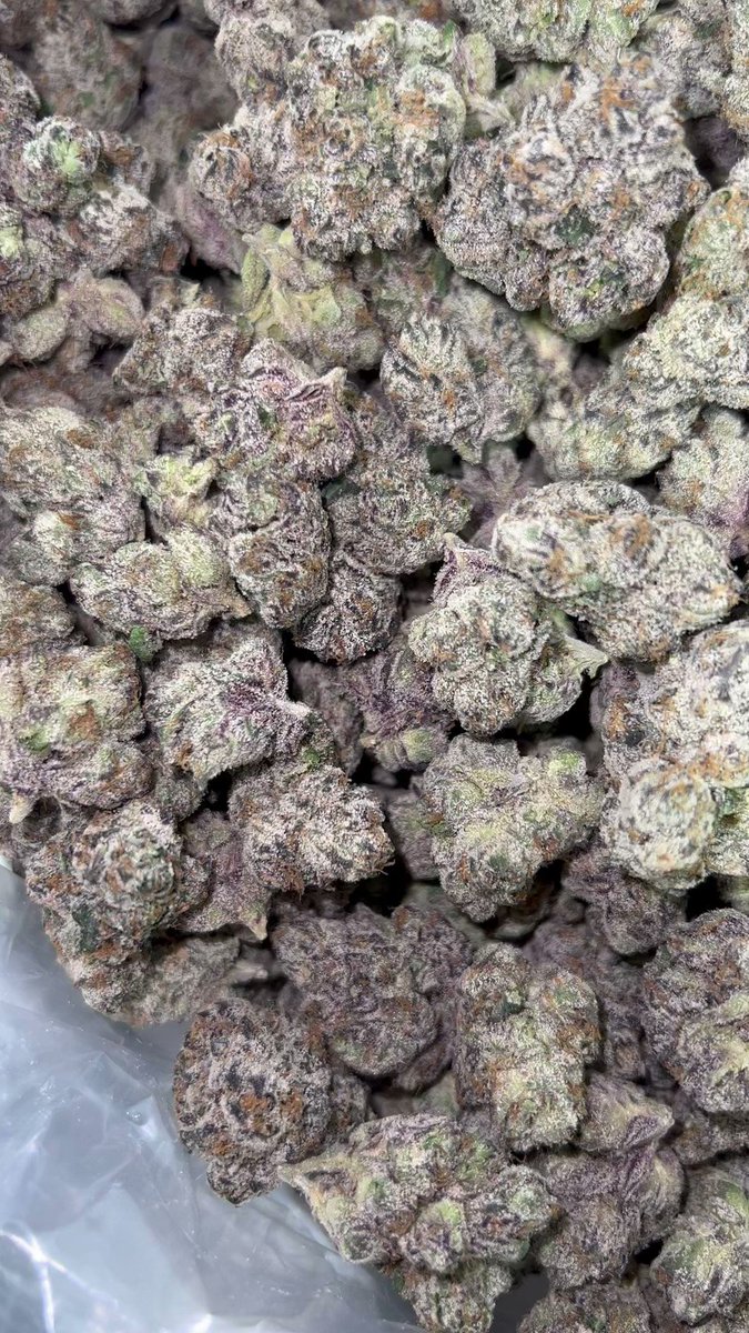 Marsha Marsha 👧🏼🔥 (Cold snaps🥶x Cereal Zkittlez🥣) Aroma: Heavy menthol fumes followed by a classic cereal milk sweetness finishing with a light zkittlez candy backend. This flower is truly unique simply due to its genetic background and hands down one of Teds Budz favorites