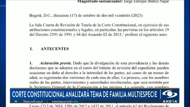 La Corte Constitucional acaba de abrir la puerta para que en Colombia se hable de familia multiespecie, aquella conformada por seres humanos y animales de compañía. El alto tribunal estudiará este tema. Más en
