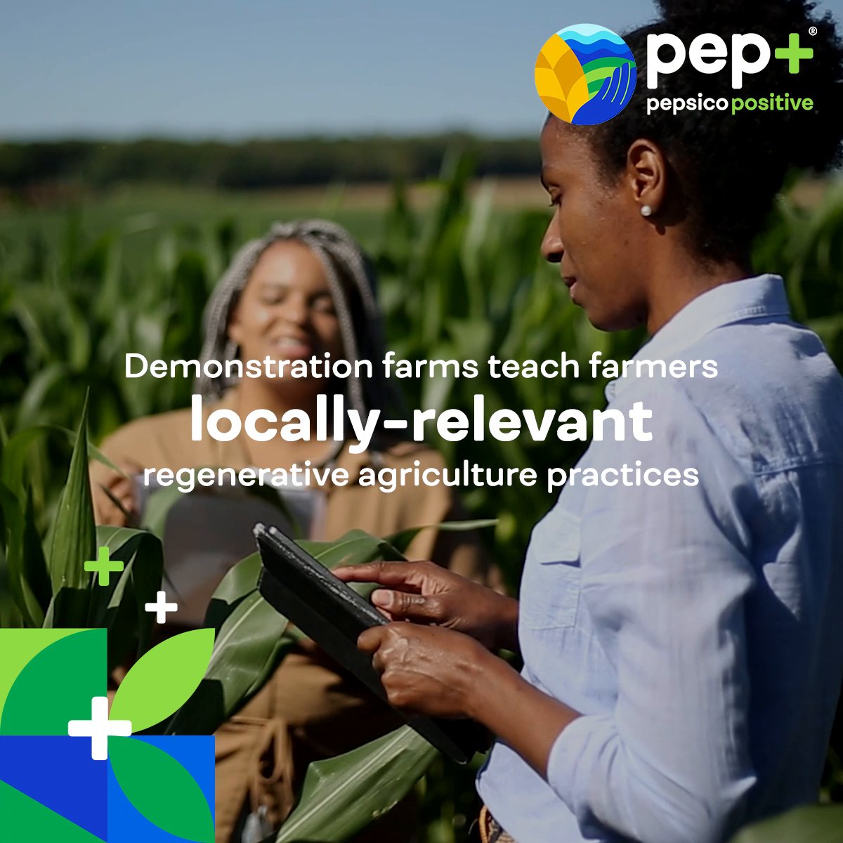 🌾Demonstration farms are a critical part of our efforts to spread regenerative agriculture practices and connect farmers with technology + techniques that are designed to meet local challenges. Take a closer look: