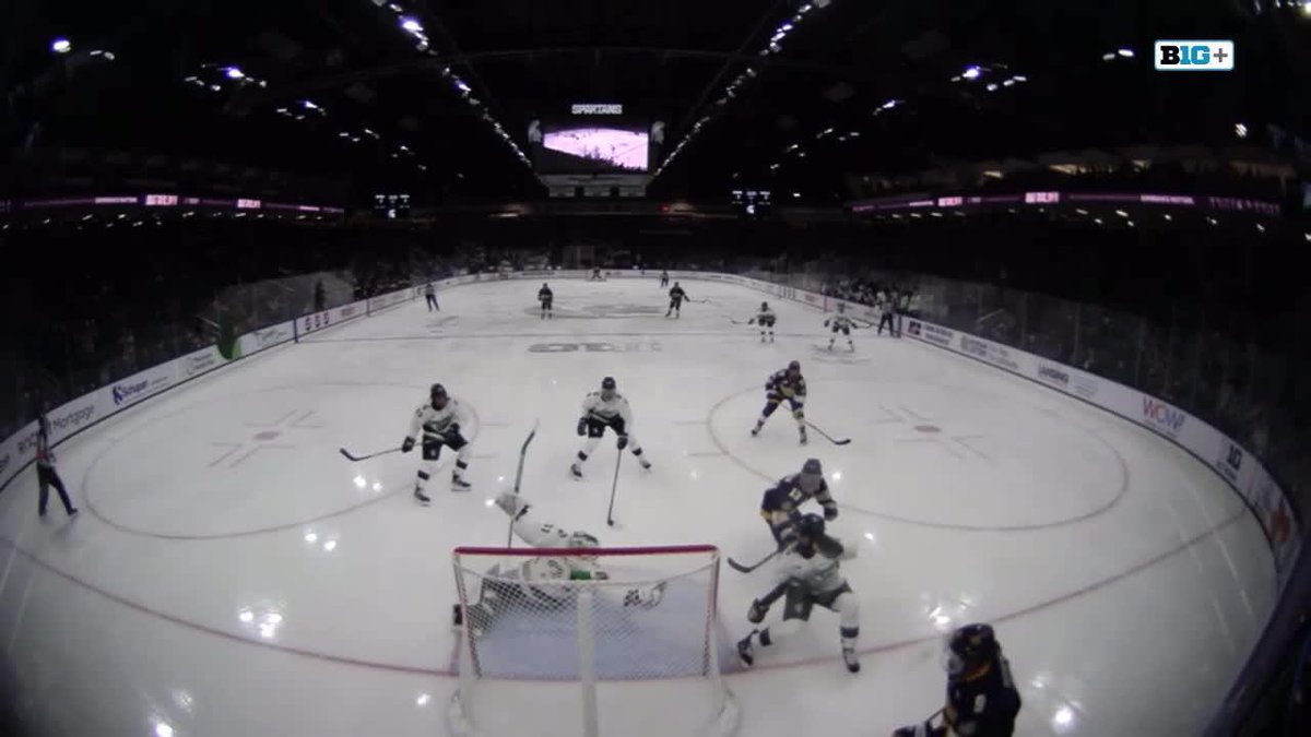WOW. 😱 You've got to see this save from Michigan State Hockey's Luca Di Pasquo.