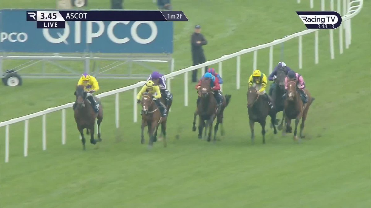 Absolutely Incredible!! Frankie Dettori wins the Champion Stakes on King Of Steel on his final ride in Britain. Just magnificent, you couldn't write it!! 👑 🐐