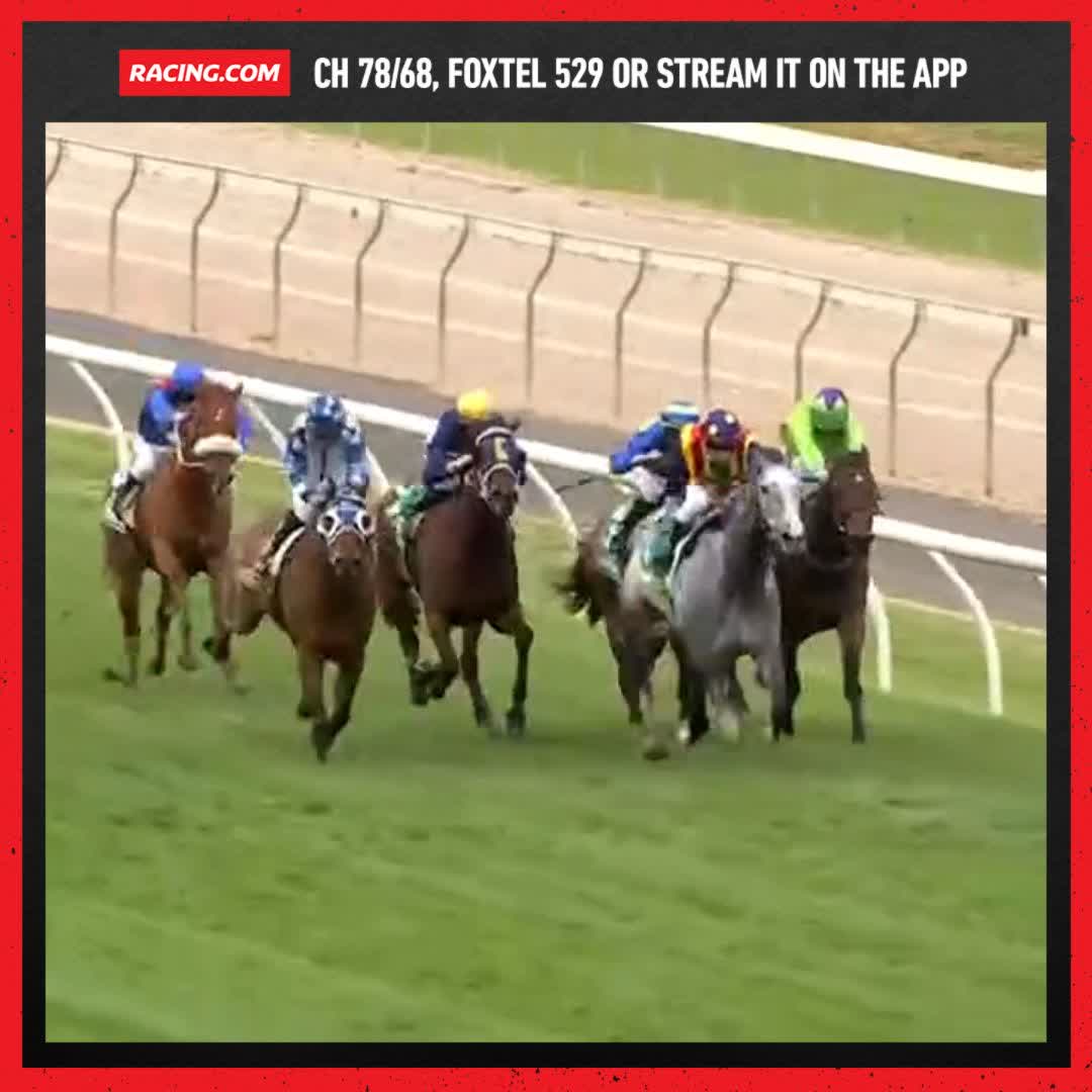 Junipal comes storming down the middle to take out the Seymour Cup 🏆 The 8YO will rocket into the top end of the Victorian Country Cups Series leaderboard 📈 Ciaron Maher Racing Johnny Allen