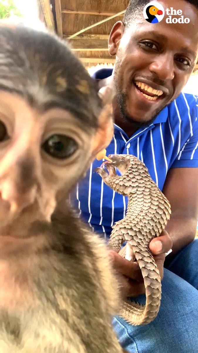 Rescued baby monkey meets a baby deer and can't stop hugging her ❤️