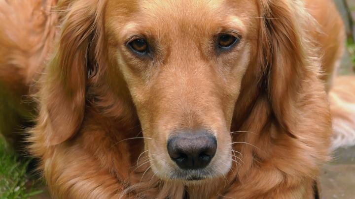 Bye-bye Nellie. We shall miss you x x