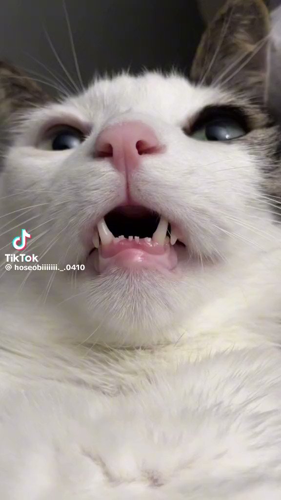 my kind of asmr