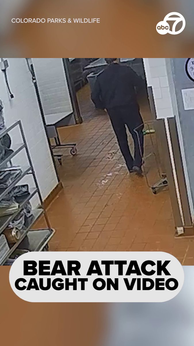 Colorado Parks and Wildlife released a video of the moment a security guard was attacked by a bear in a kitchen in Aspen. The security guard is okay and was released from the hospital. The bear was captured and euthanized.