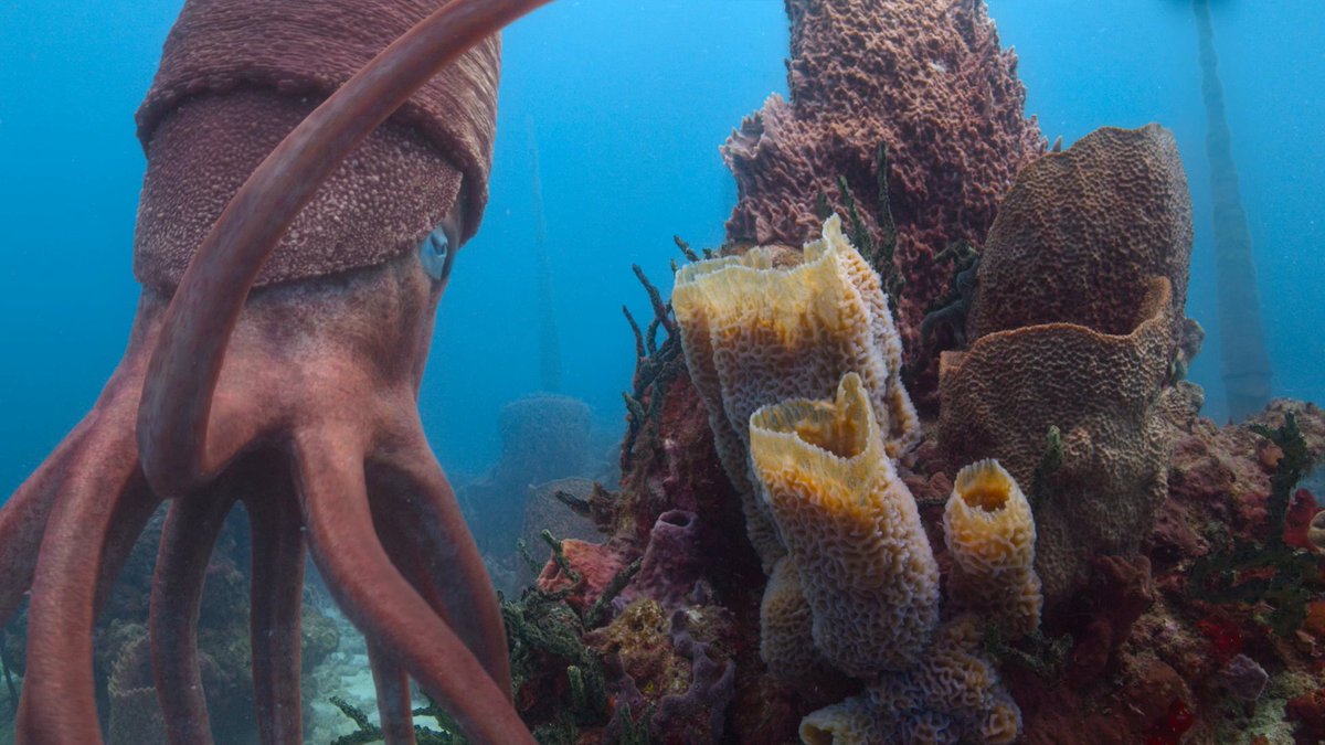 Please enjoy these LIFE ON OUR PLANET bloopers from the one and only, Morgan f***ing Freeman.