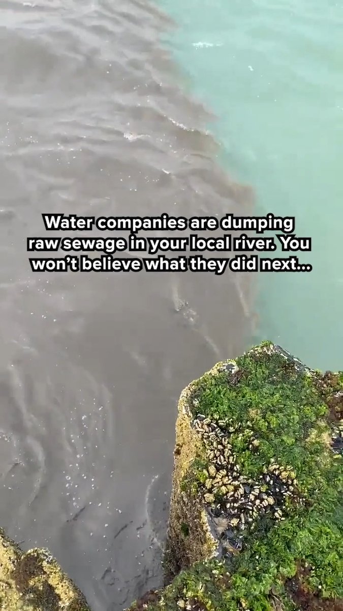 The privatisation of the water industry has been a financial & environmental catastrophe. Stripping the public of £billions & the country of biodiversity & healthy blue spaces. A well engineered financial trick for a badly engineered & regulated sector.