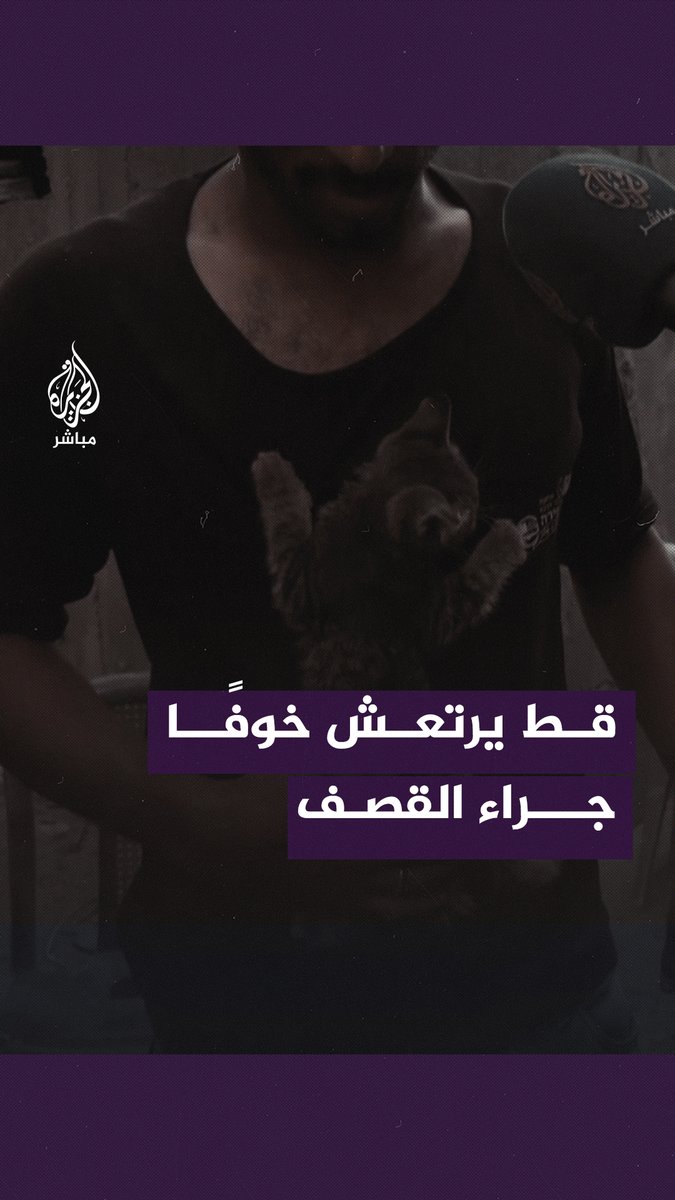 متشبّث بصاحبه.. قط نجا من القصف يرتعش خوفًا خلال حديث أحد شباب #غزة #الجزيرة_مباشر #غزة_لحظة_بلحظة