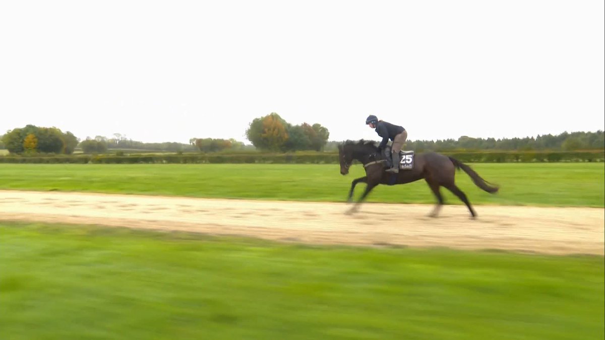 Monbeg Genius makes the most of the incredible facilities at Jackdaws Castle Saturday mornings don't get much better than this for Luke harvey #ITVRacing | #TheOpeningShow | @JonjoONeill