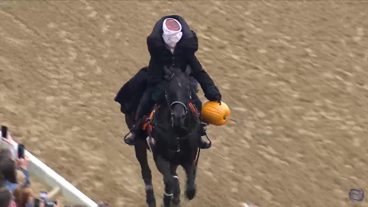 Spotted at Keeneland: the headless horseman! 🎃👻😱