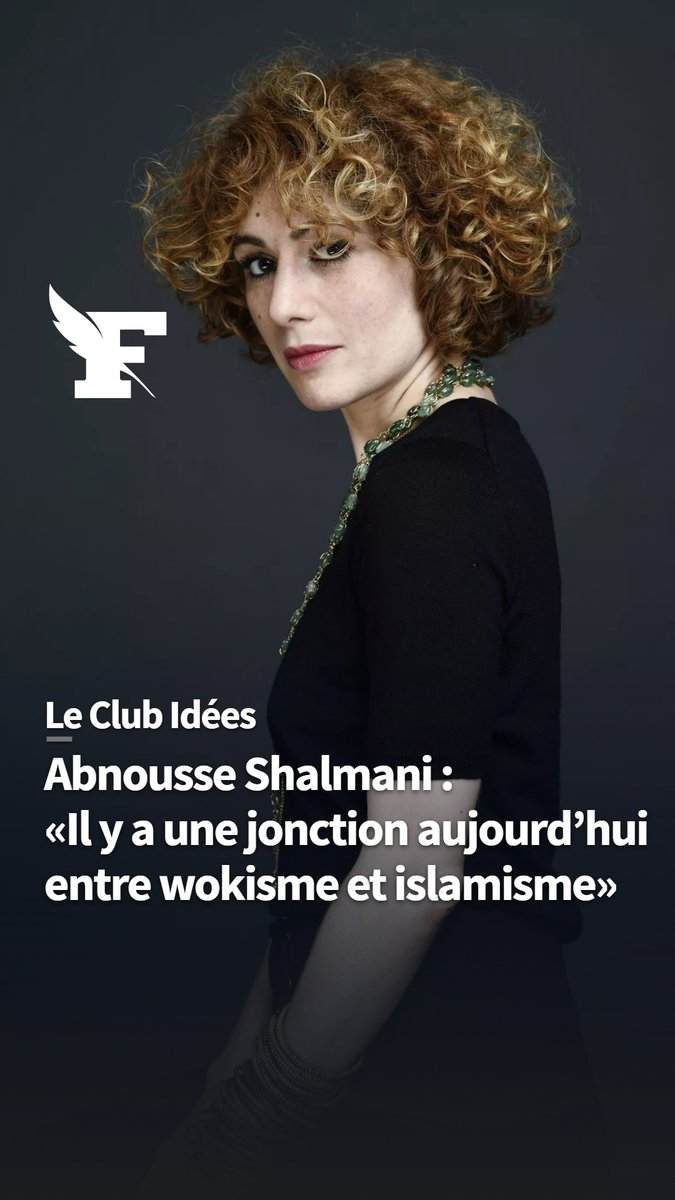 Pour Abnousse Shalmani, écrivain et chroniqueuse sur «LCI», Israël est réduit par ses détracteurs à n'être qu'une colonie, voire un «État d’apartheid», oubliant notamment que 20% de la population d'Israël est arabe.