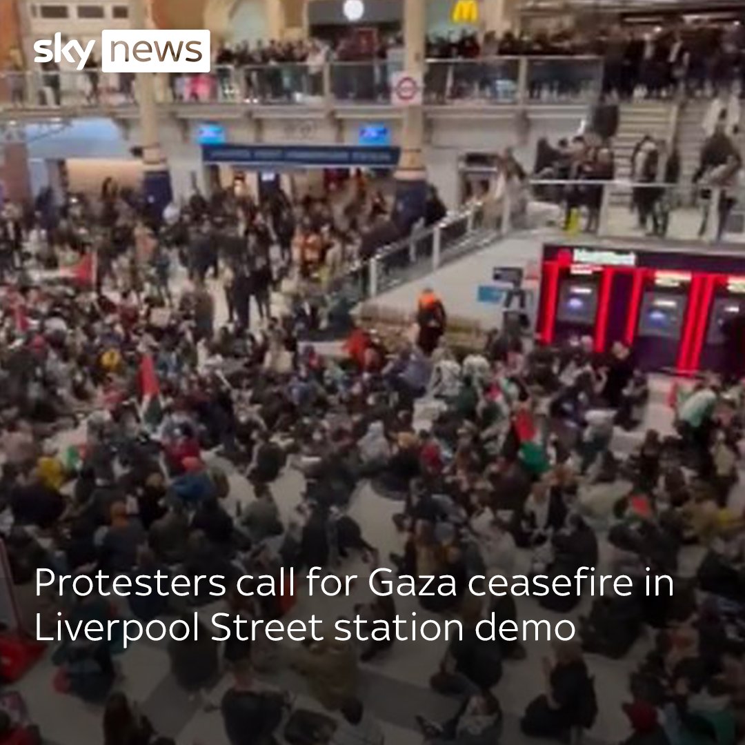 Protesters calling for a ceasefire between Israel and Hamas have descended on London's busy Liverpool Street station, holding a rush-hour sit-down demonstration Latest: