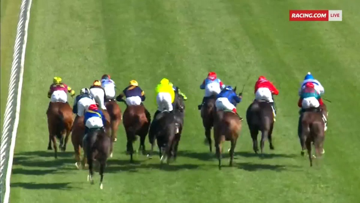 What a ride from Blake Shinn aboard Jimmysstar! 😯 Ciaron Maher Racing