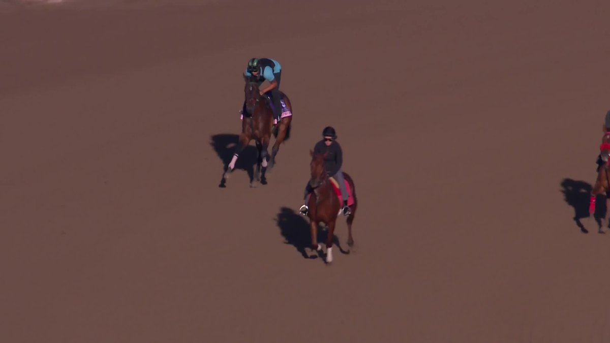 Brightwork shows off her prowess on the dirt at Santa Anita Park.