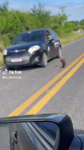 Esta mañana me crucé con Bellingham totalmente desorientado en una carretera secundaria de Castilla y León