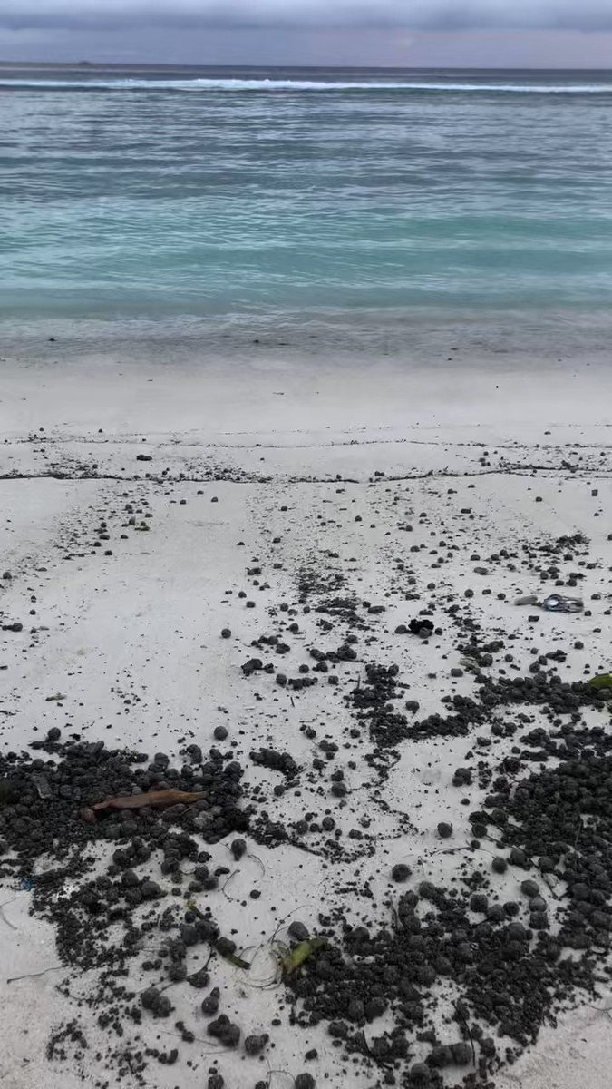 Hazardous globs of Oil in the beach of My Hulhumalé since the high tide from yesterday. It could be a major oil spill and it doesn’t look pleasant at all ⚠️