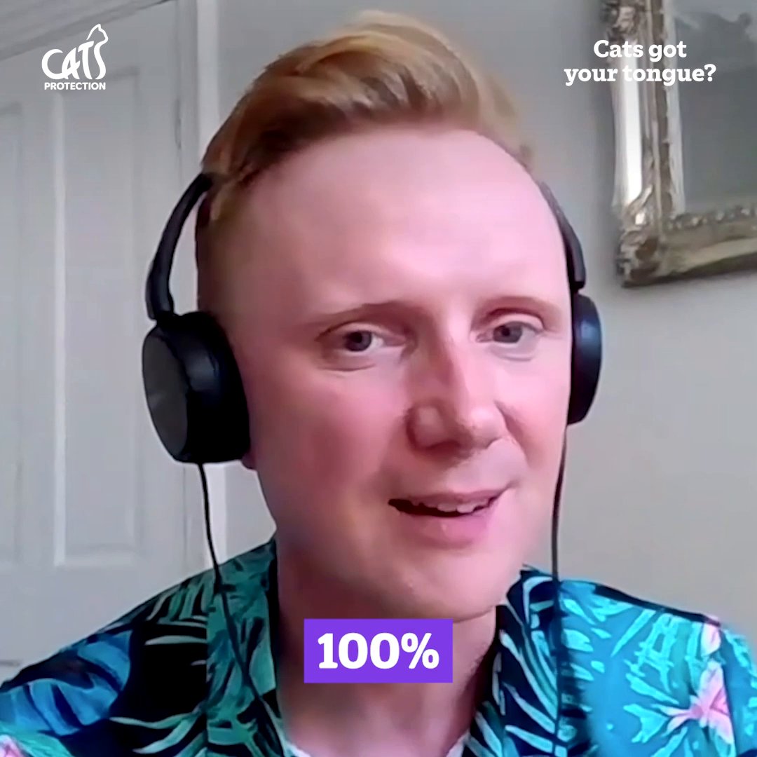 The first episode of our podcast Cats Got Your Tongue? is out now! Host Adam Brown talks to BBC Radio 2 DJ and weatherman Owain Wyn Evans about getting a cat tattoo, cats trying to get second dinners from neighbours and much more: 👅