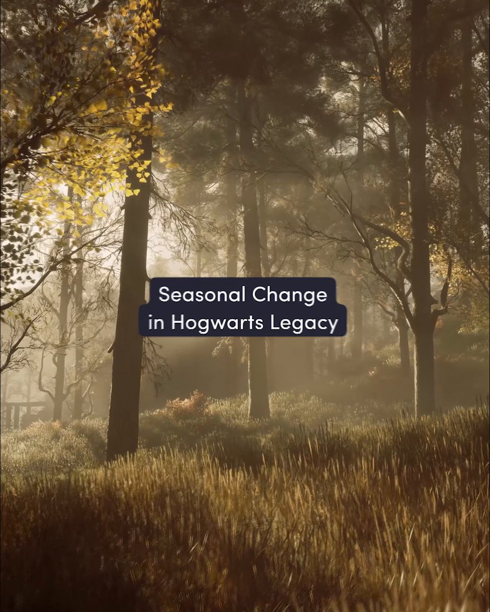 At Hogwarts, each season brings its own kind of enchantment #HogwartsLegacy
