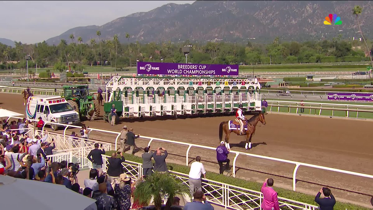 Cody's Wish wins the $1 Million Big Ass Fans #BreedersCup Dirt Mile! Congrats to all connections! #BC23