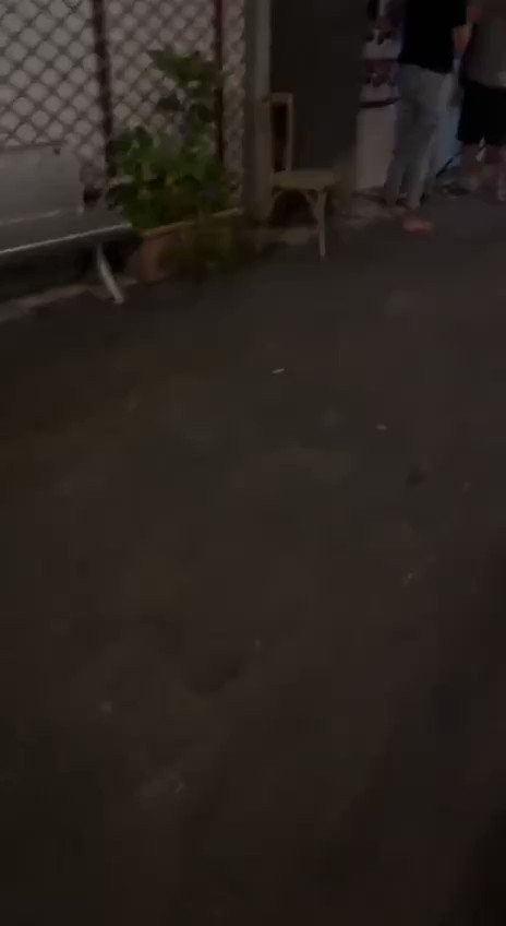 גם פה בארץ? לפני זמן קצר במודיעין זוג נתפס תולש מודעות של חטופים. מזהים את הכוכבים? שלחו לפרטי. נעדכן. הזוי!