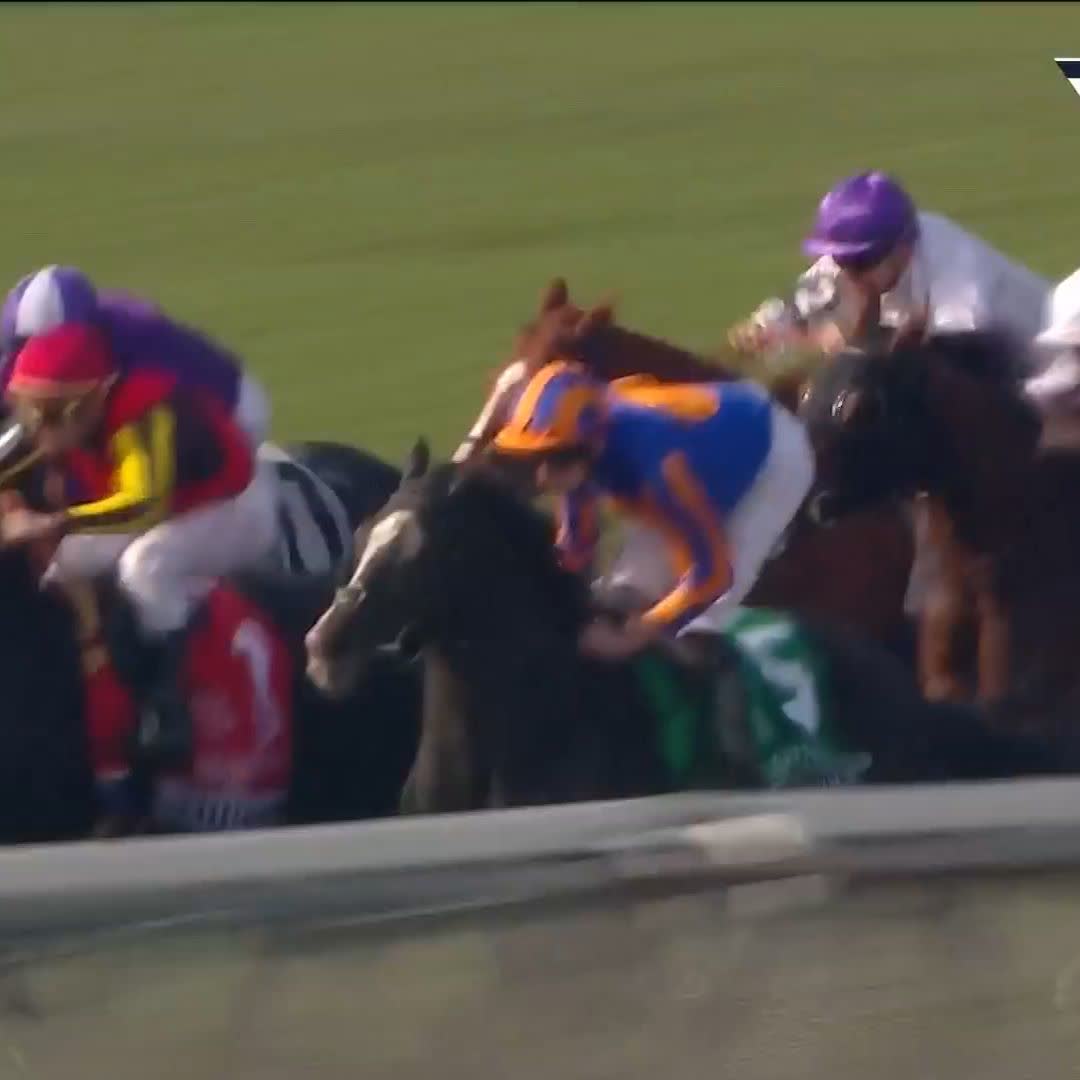 🥶 So cold This ride from Ryan Moore on Auguste Rodin 🤤 #オーギュストロダン | #ディープインパクト | #競馬 | #BC23 | Breeders' Cup