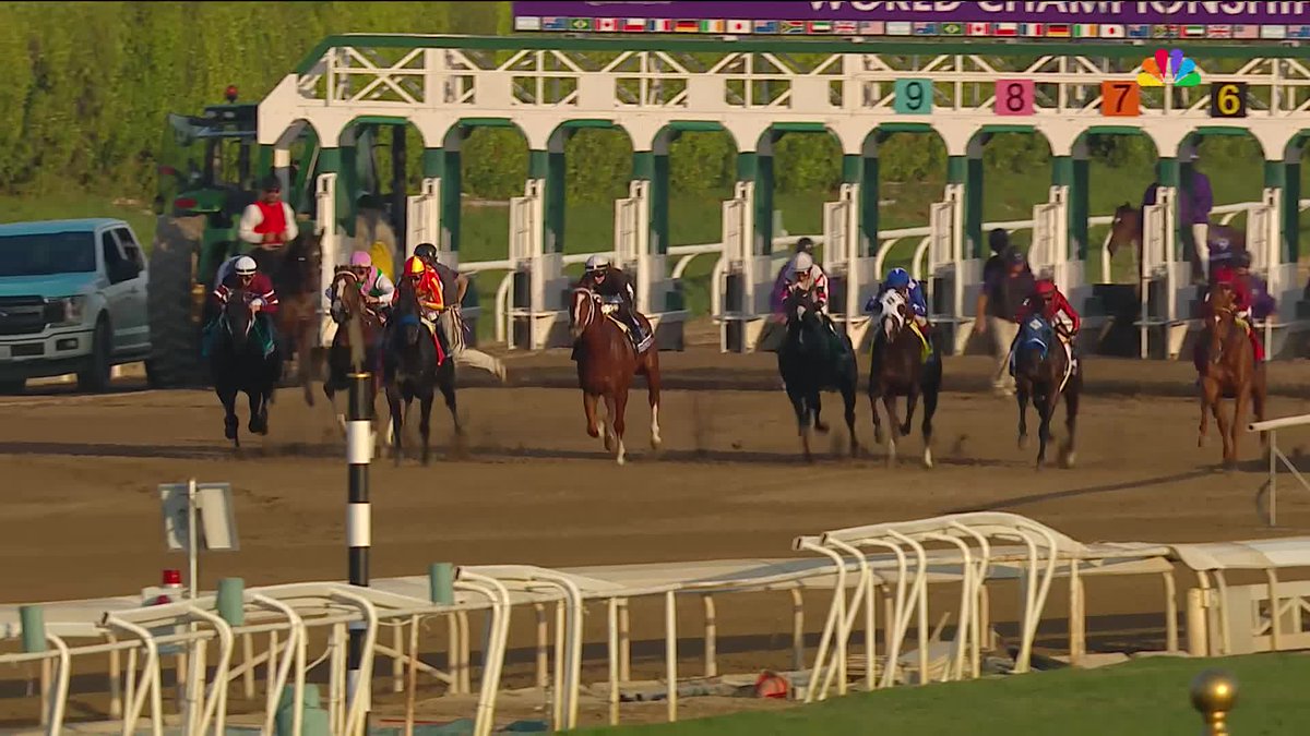 REPLAY: Elite Power wins the $2 Million Qatar Racing #BreedersCup Sprint! Congrats to all connections! #BC23