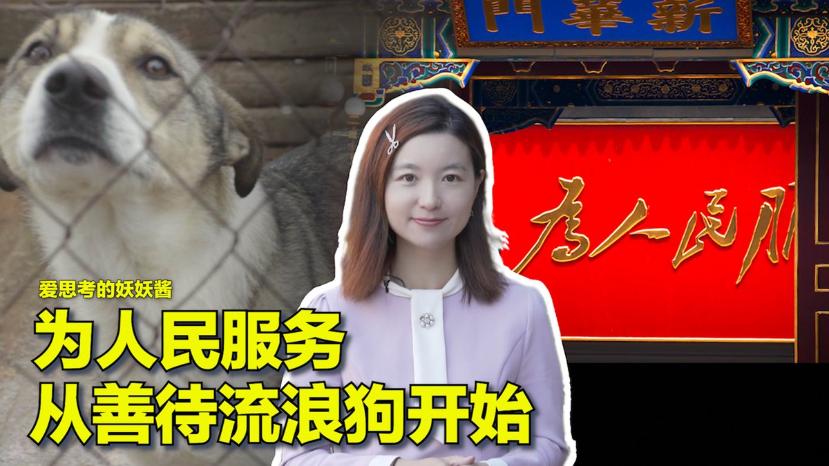#美中对标 中国热点对标美国论据,用一杯咖啡的时间聊聊中国热点的美国冷思考。前不久中国多地掀起大规模屠狗运动,引发网络争议,有人认为人权大于狗权;然而因为一起狗咬人事件是否就有理由对所有宠物大开杀戒?凭什么让无辜动物成为政府懒政的“替罪羊”?
