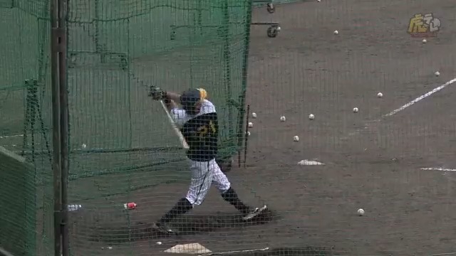 【安芸】「これもいったぁー!」野口選手が驚愕のバックスクリーン直撃弾!! #hanshin #虎テレ #阪神タイガース #ARE #秋季キャンプ 虎テレでは秋季キャンプをライブ配信