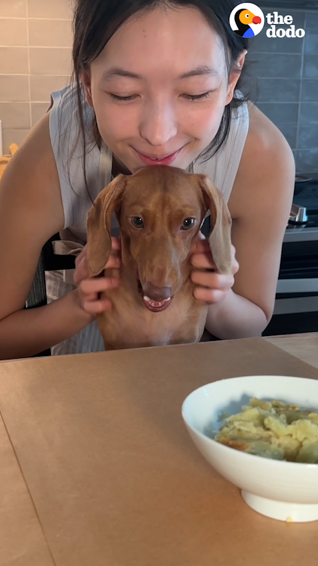 Woman realizes her dog needs home-cooked meals, and that he has great taste — wait for the nachos and margarita platter! 💕