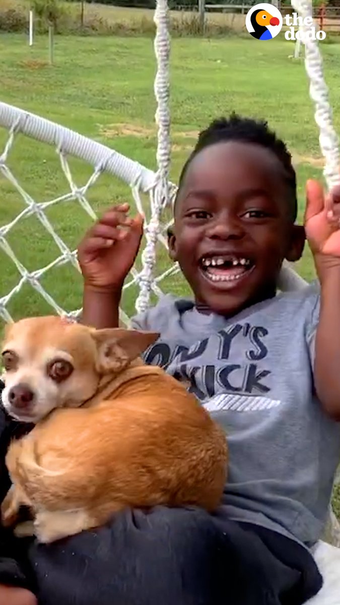 Kid and his 16-year-old Chihuahua have been best friends since he was little — and now that she can't see, he does the sweetest things for her 💞
