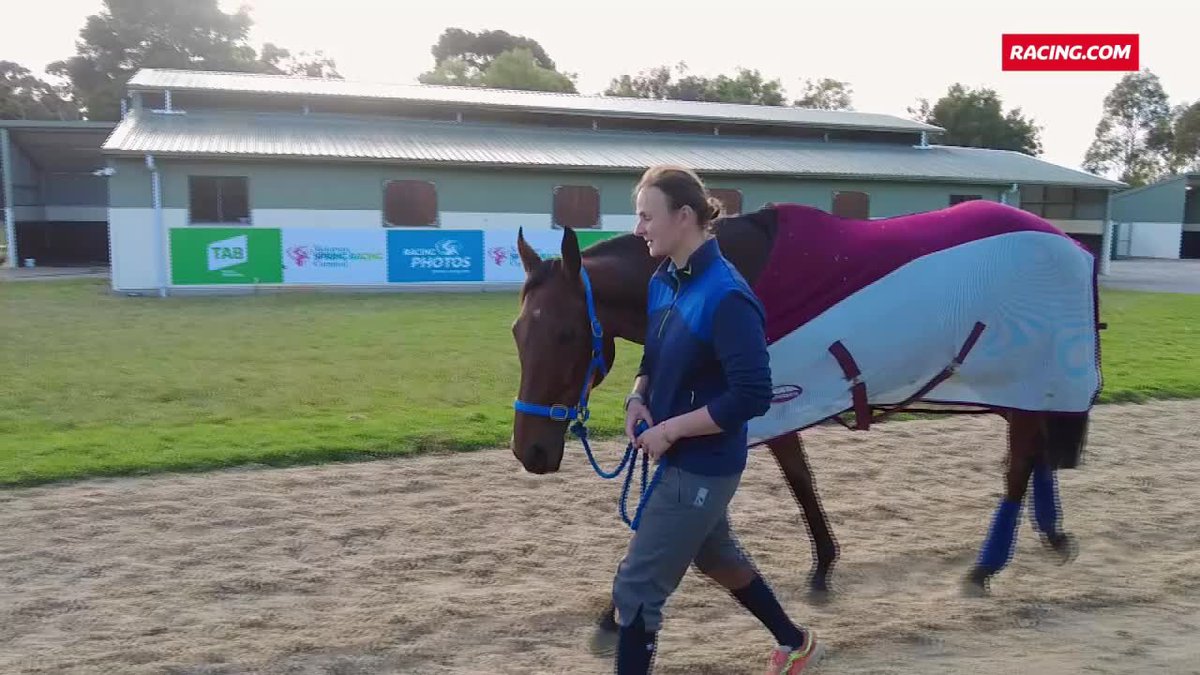 "I'm so emotional, sorry." Absurde's strapper &amp; rider, Emilie Seigle, has a profound connection with the Melbourne Cup contender 💕 Emilie seigle Willie Mullins