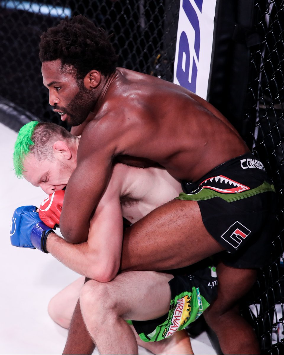 Will Stots stop Sabatello AGAIN? 🤔 Heated rivals RAUFEON and Danny Sabatello clash inside the #Bellator cage once more! 🔥 #Bellator301 | Fri, Nov 17 | @SHOsports