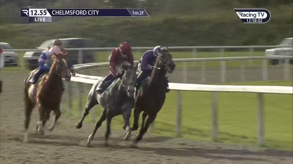 Daysofourlives makes it three wins from seven career starts with success in our feature race, the Every Race Live on Racing TV Handicap, for Stefano Cherchi and Marco Botti Racing