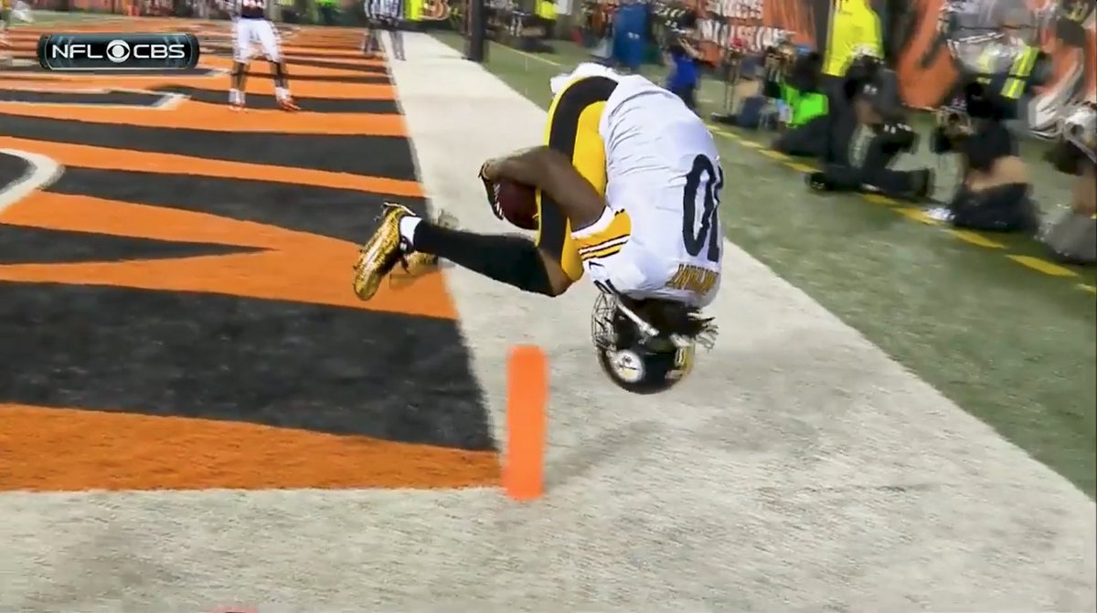 Martavis Bryant made one of the sickest catches ever in the 2015 Wild Card 🔥