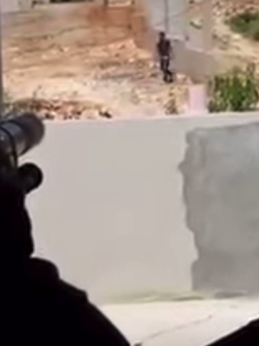 In 2015 leaked footage showed an Israeli soldier shooting a 13 year old in the dick. They purposely do this to young boys/girls so they cannot have children. Israeli army wanted to suppress any action by Palestinians that resists Israeli policies, especially settlement expansion. Israeli policies on how to deal with protests gives a green light to Israeli soldiers to kill Palestinians, including children.