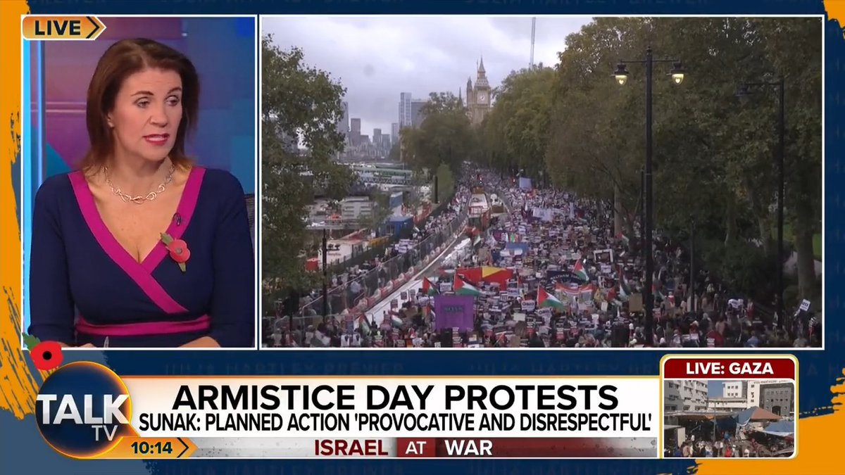 Julia hits out at the police after they gave the go-ahead for a pro-Palestine march on Armistice Day. “They are fearful of militant people like some of these pro-Palestinian agitators. They are no longer in control of peace on our streets. That is scary." Julia Hartley-Brewer