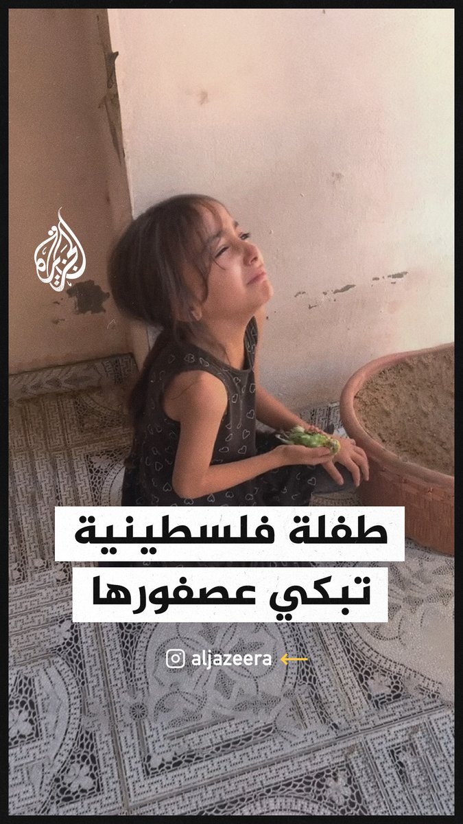 طفلة تبكي عصفورها الذي قُتل جراء القصف الإسرائيلي على #غزة #حرب_غزة