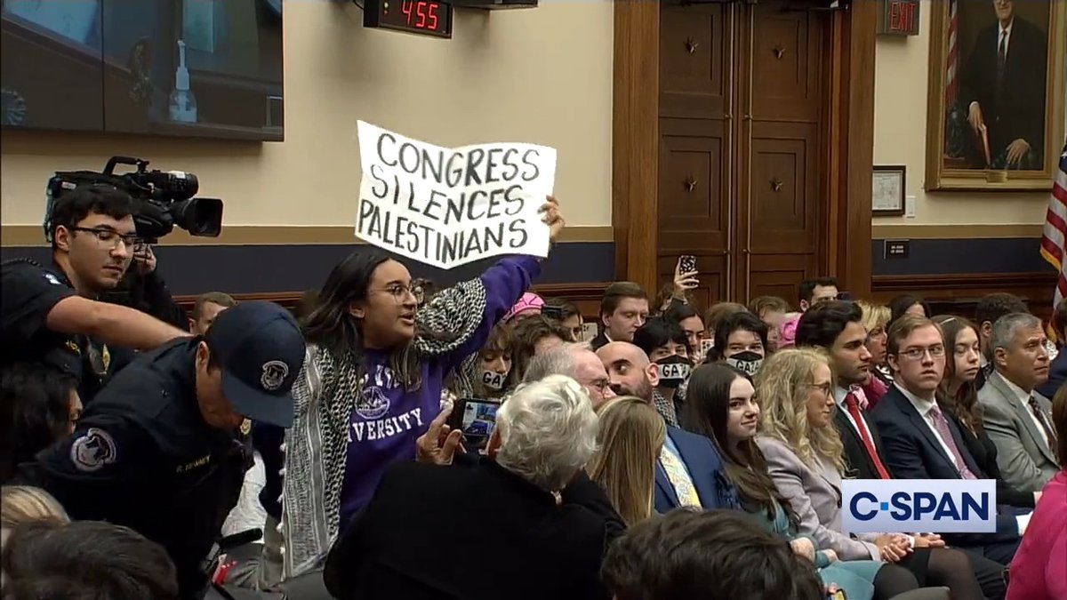 One-by-one, pro-Palestinian protesters continuously disrupt a House Judiciary Committee hearing about free speech on college campuses.