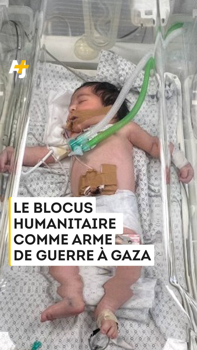 “Même si nous avons survécu aux bombardements, il n’y a pas de nourriture, il n’y a pas d’eau.” Les habitant·es de Gaza vivent une catastrophe humanitaire entretenue par Israël.