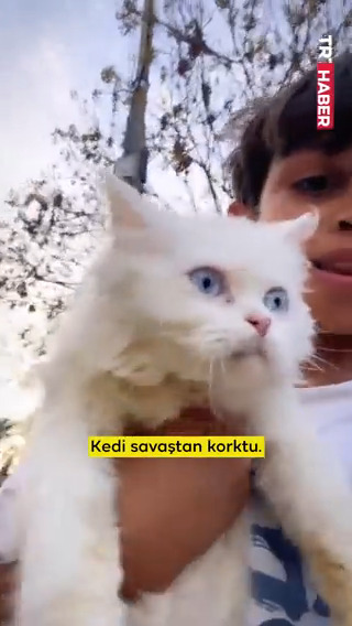 “Savaştan herkes korkar, hatta kedi bile…” Gazzeli küçük çocuk İsrail’in bombardımanları sırasında kedisinin nasıl saklandığını anlatıyor: Bazı yeni saklanma yerleri var, bu kedi savaşta o yerleri keşfetti.