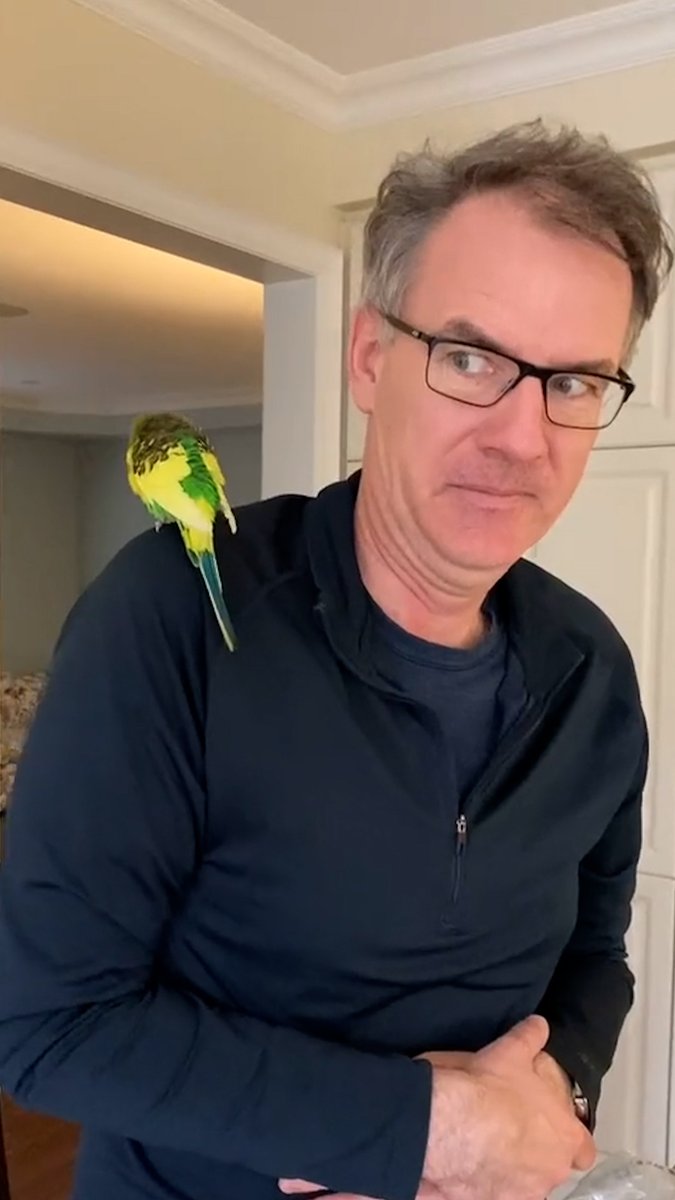 Tropical bird walks right into family's home — and never leaves 💚