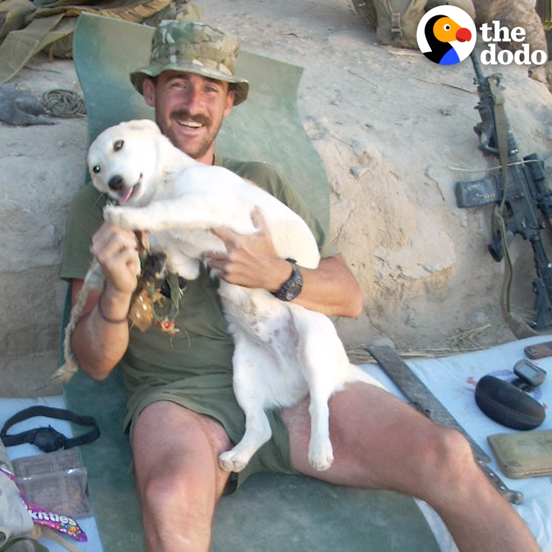 Guy meets his soul dog while in the middle of combat in Afghanistan — 13 years later, they are still obsessed with each other❤️