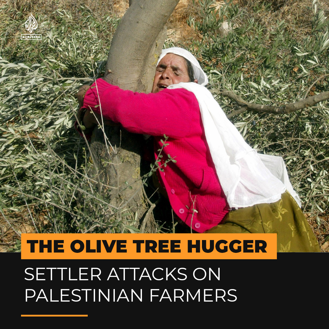 “I hugged the olive tree… I’d raised the tree like my child.” On November 27, 2005, a Palestinian woman was photographed hugging an olive tree after it was attacked by Israeli settlers. Get to know the story behind this iconic image.
