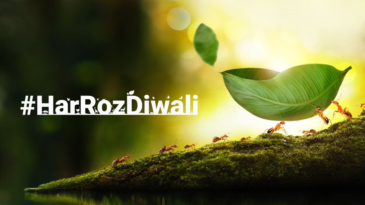 Let your #Diwali sparkle with eco-friendly delights! Join us for a unique gifting tradition with our #HarRozDiwali film – the gift of sustainability. Subscribe to #AdaniElectricity 's Green Tariff and let there be #HarRozDiwali for our environment. #GreenTariff #Mumbai
