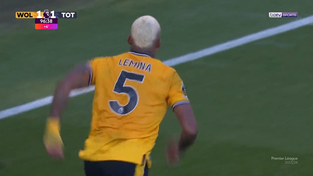 Lemina-Torreira..