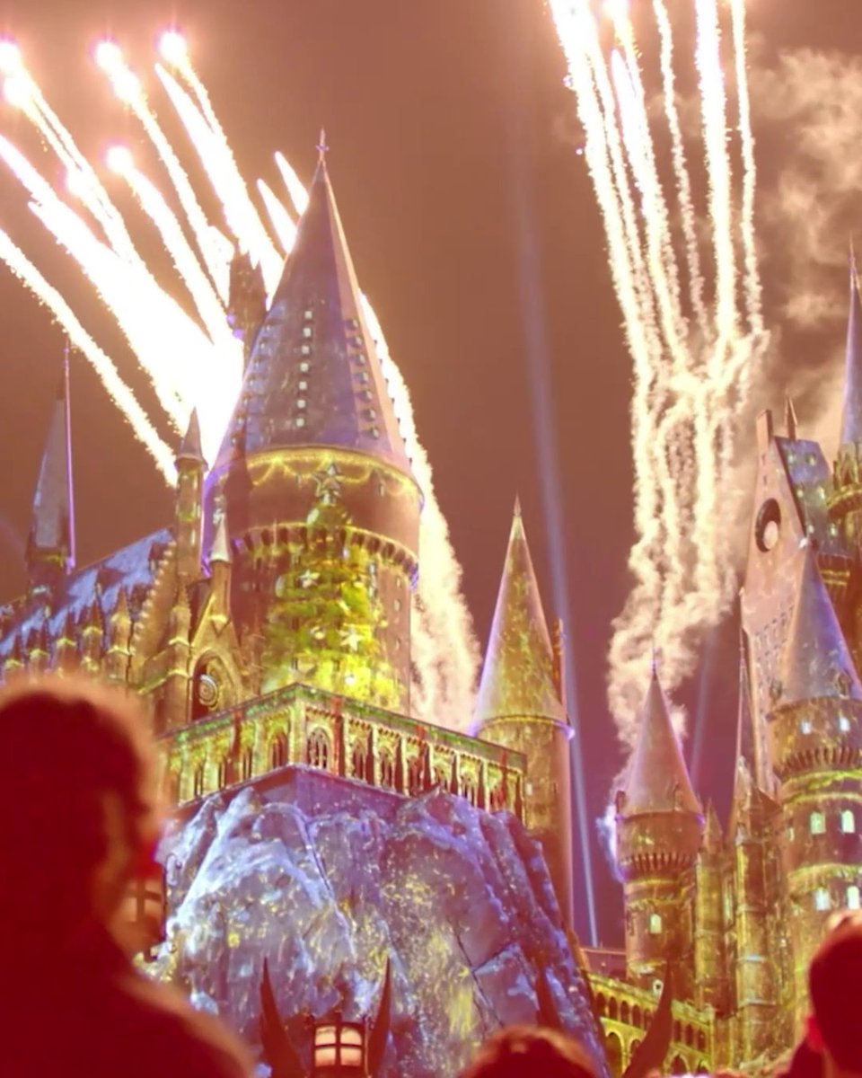 Propósitos de la vida: visitar el parque temático de Harry Potter en Navidad.