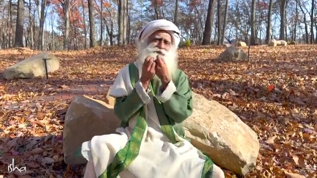 Let the Light of Clarity, Joy, and Aliveness shine bright in your Life. May you have a cracker of a Diwali. Love & Blessings, Sadhguru #Diwali